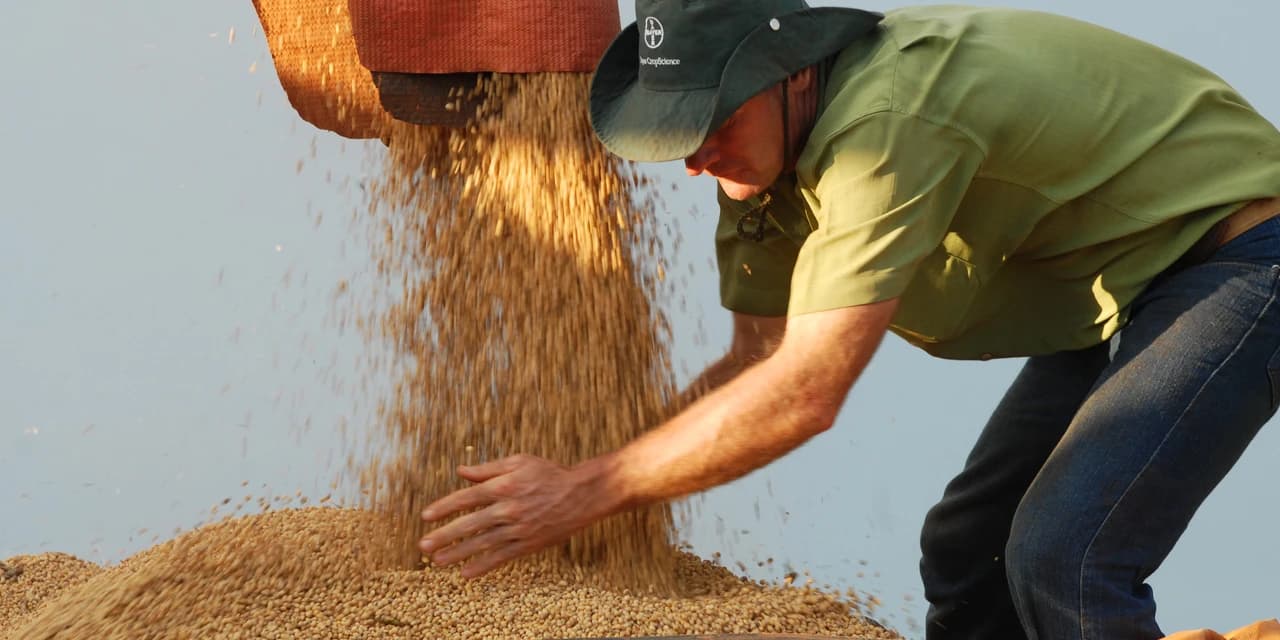 Com PIB positivo de 2,5% Paraná cresceu o dobro do Brasil em 2017