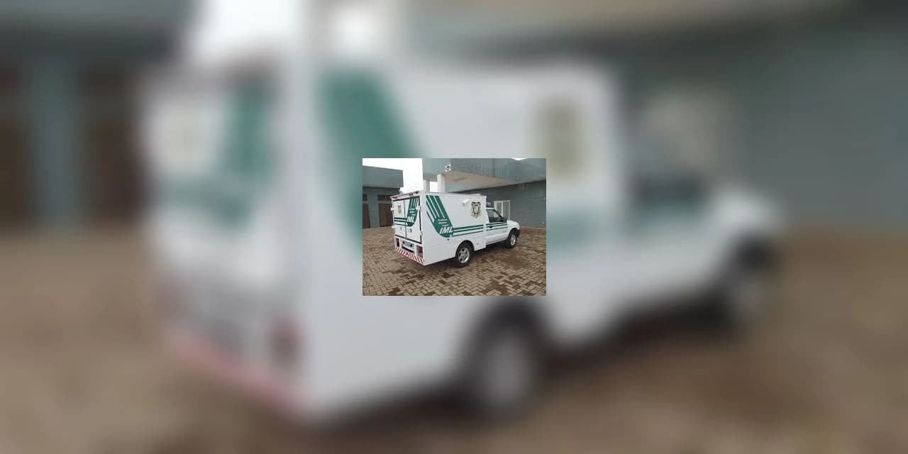 Homem de 43 anos morre ao cair de pinheiro em Prudentópolis.