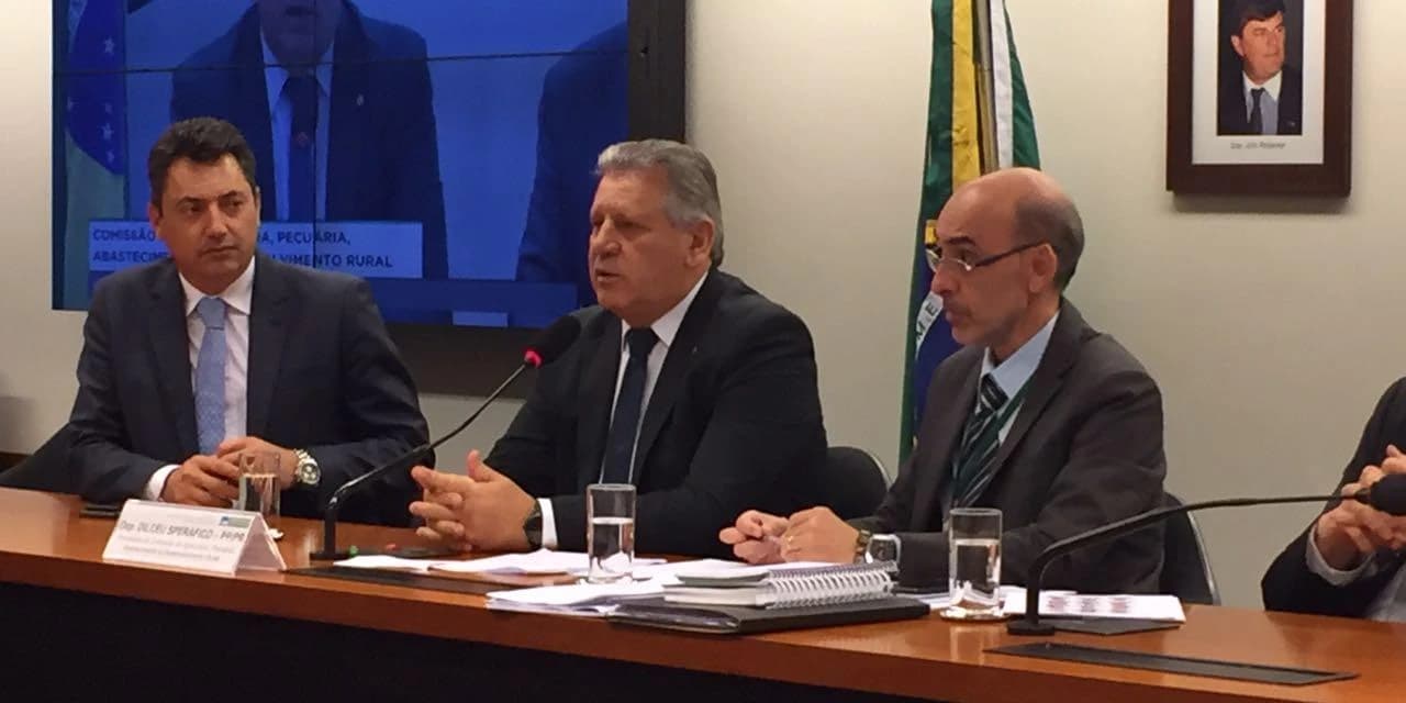 Sperafico reassume presidência da Comissão de Agricultura da Câmara dos Deputados