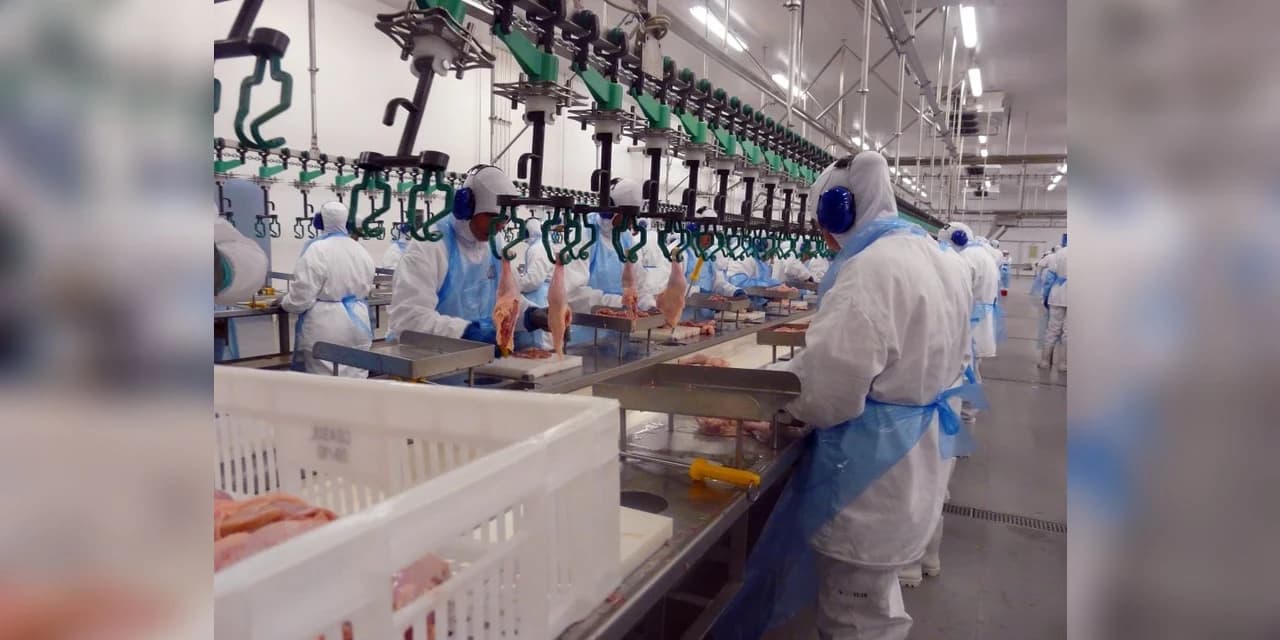 União Europeia veta importação de carne de frango de 20 frigoríficos do País e atinge em cheio o Paraná