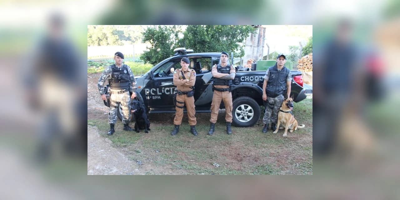 Crianças do Proam e Semear assistem apresentação com cães da Polícia Militar
