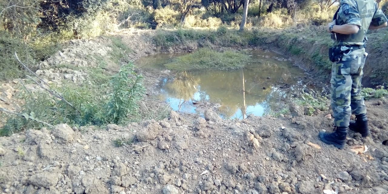 Polícia ambiental encontra danos ambientais em área de preservação permanente em Palmeira