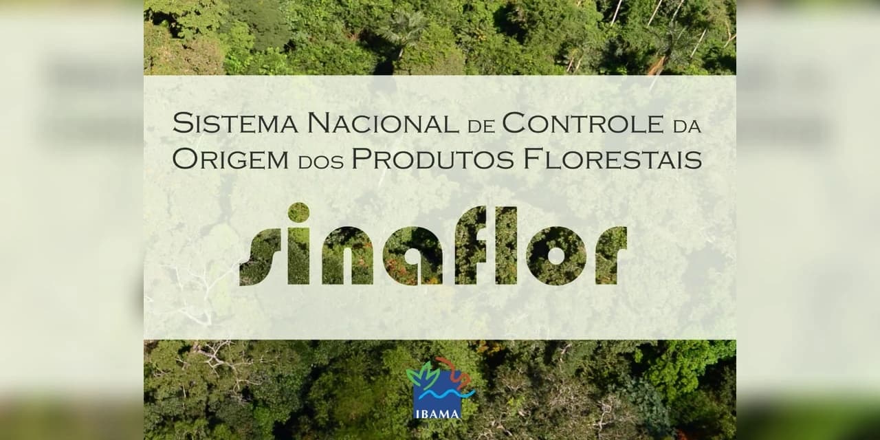 IAP e IBAMA promovem evento para mostrar novo sistema para solicitar autorização florestal