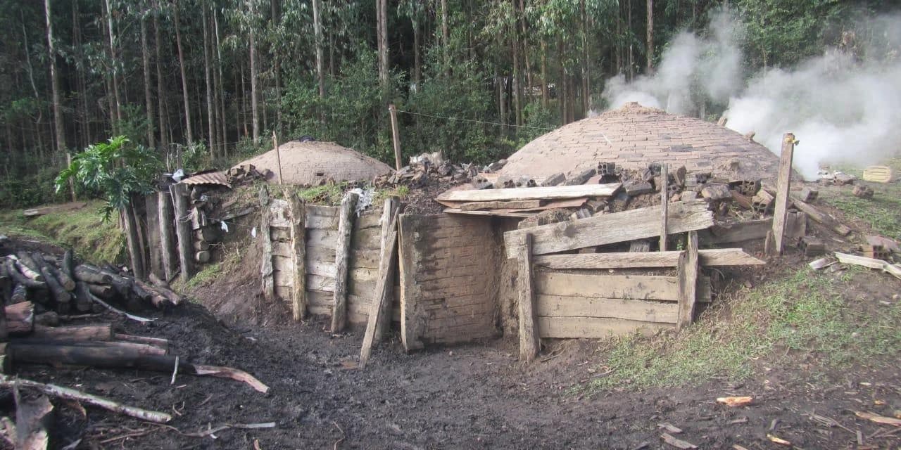 Polícia Ambiental apreende 5.000 Kg de carvão vegetal em Prudentópolis.