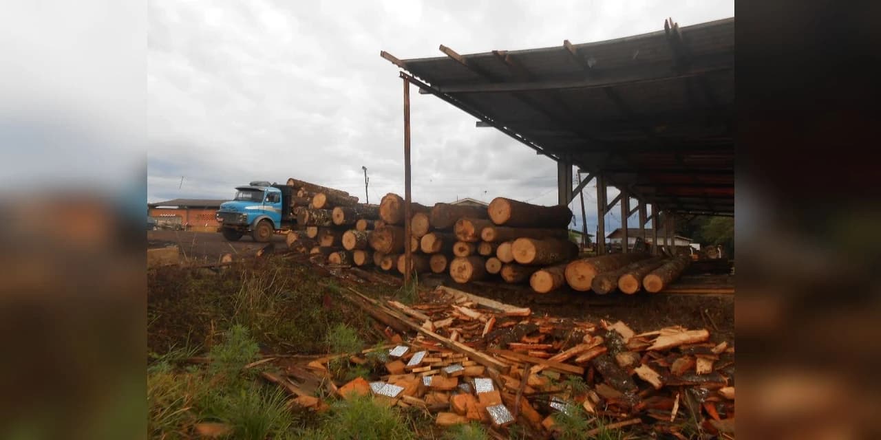 Policia Ambiental encontra irregularidades em madeireira de Inácio Martins