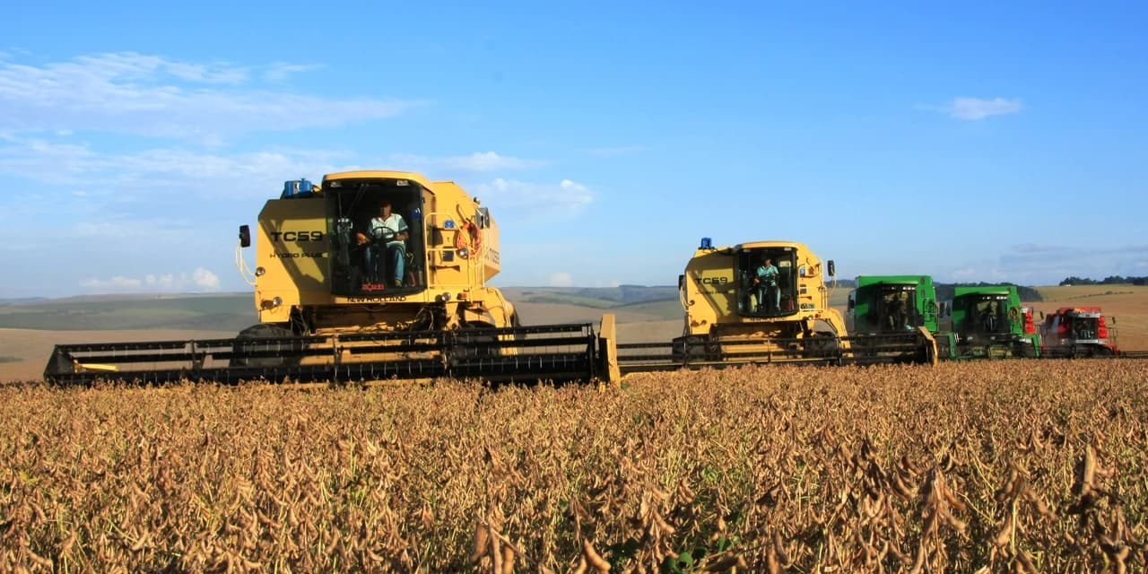 Paraná confirma produção de 23 milhões de toneladas de grãos