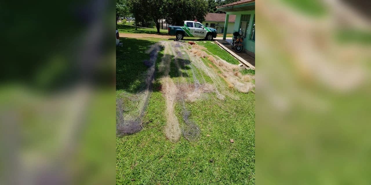 Homem foge ao avistar a chegada da Policia Ambiental