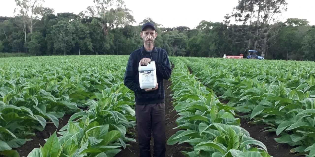 Agrônomo de Guamiranga desenvolve fertilizante para a produção de tabaco