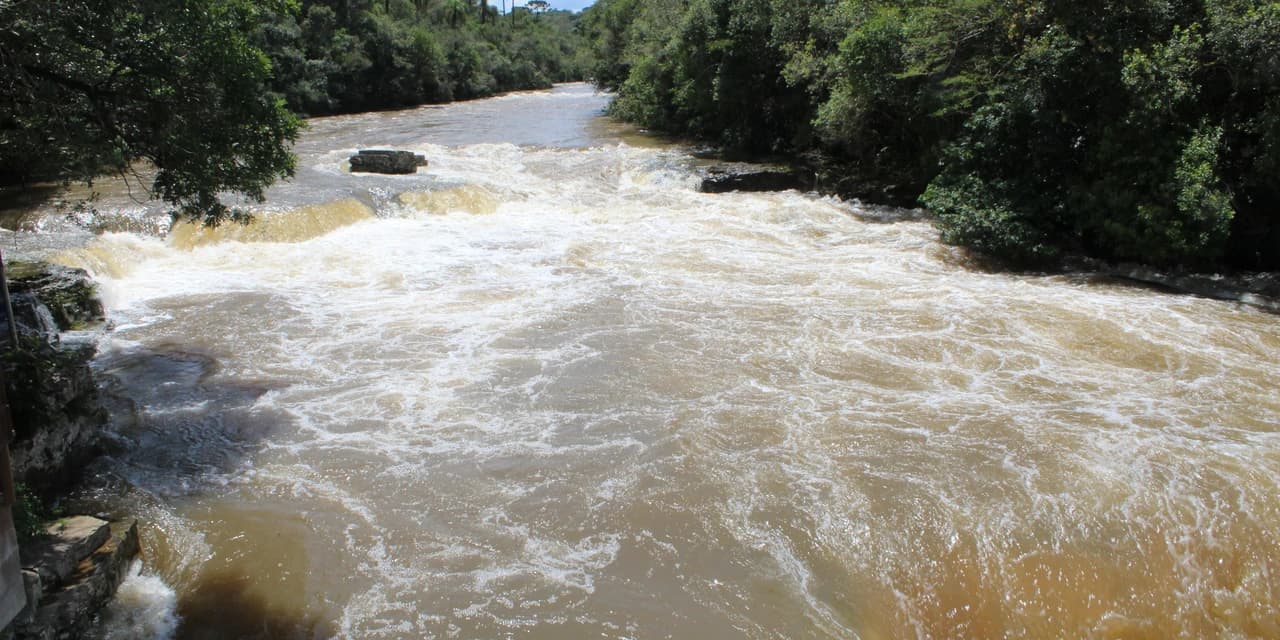 Lei vai garantir preservação do Dourado nos rios do Paraná