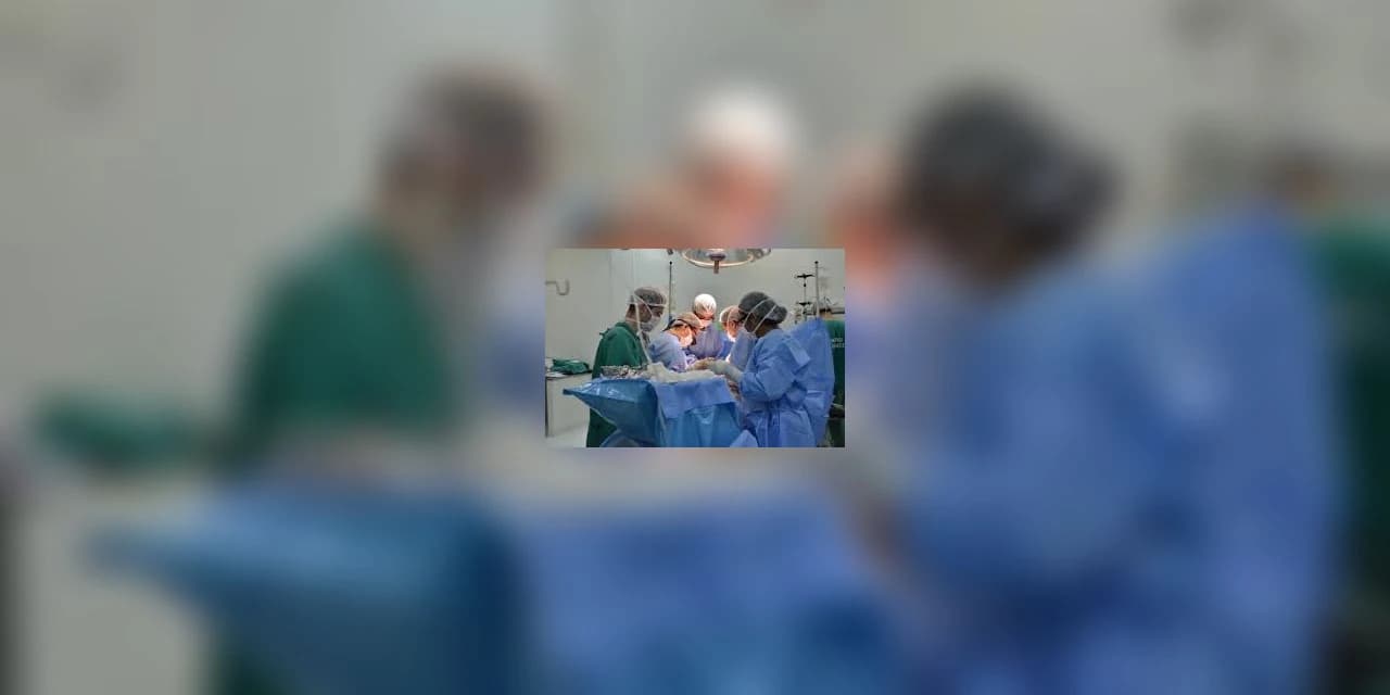 Sistema de Transplantes do Paraná é 1o. lugar em captação de órgãos no Brasil