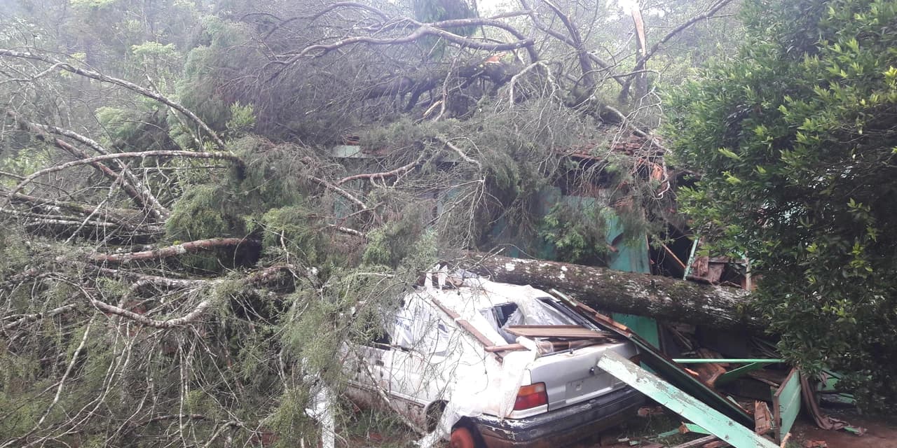 Temporal causa prejuízos no interior de Prudentópolis