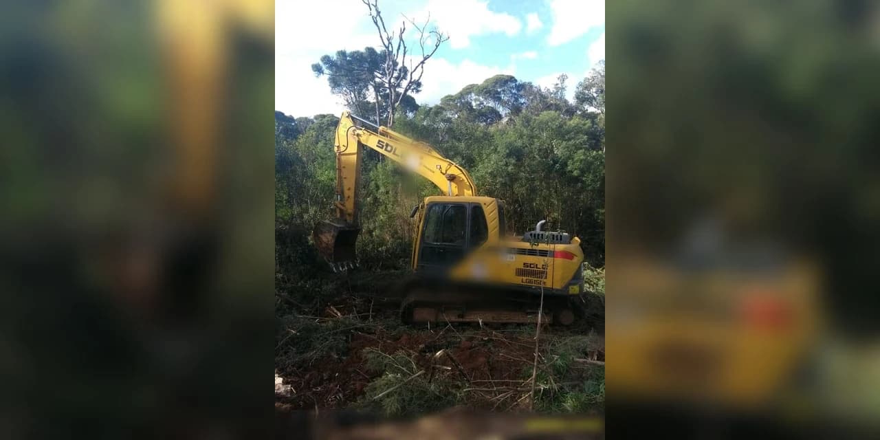 Policia Ambiental prende homem em flagrante por desmatamento na APA da Serra da Esperança