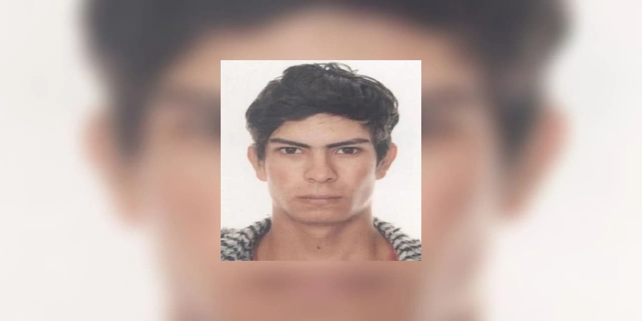 Rapaz de 22 anos discute com a convivente e desaparece em Cruz Machado
