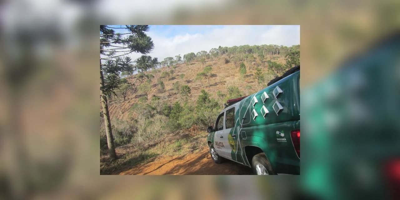 Polícia Ambiental autua proprietário por corte de várias espécies