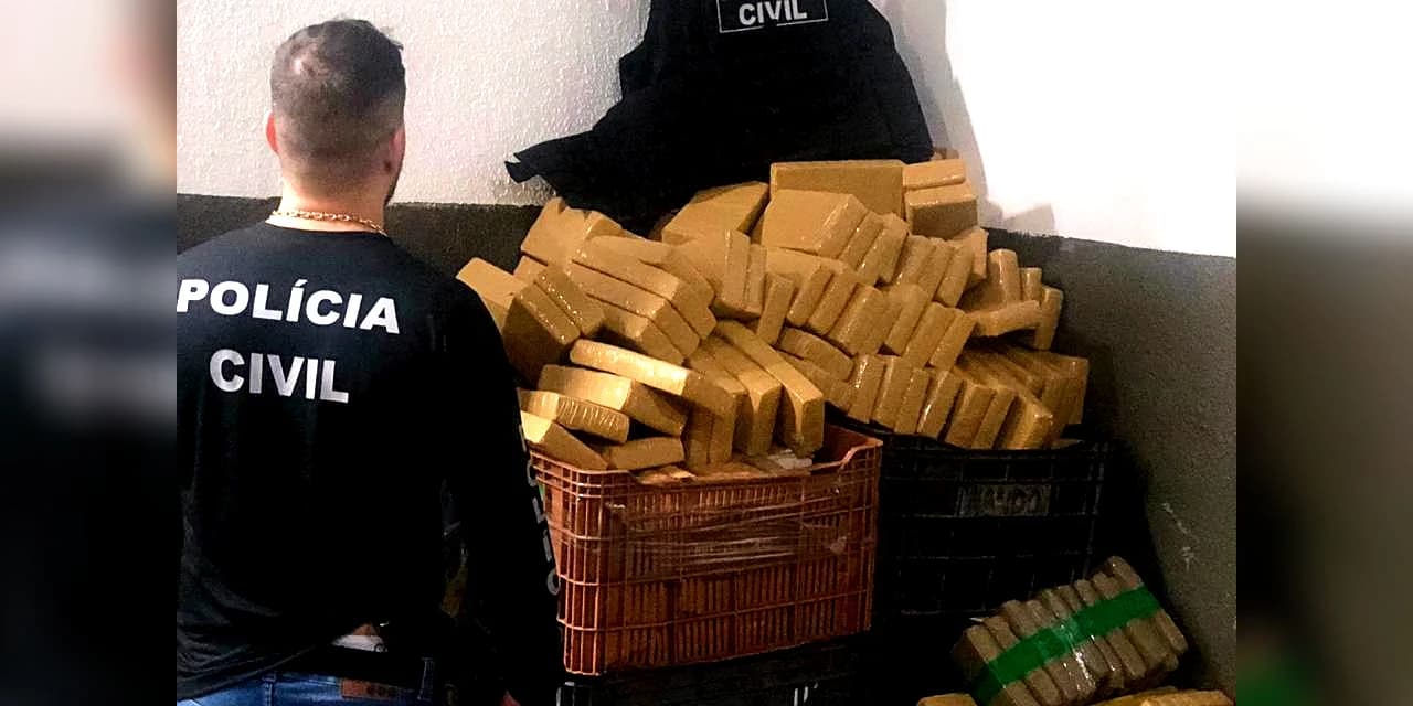 Polícia Civil apreende 7,7 toneladas de maconha em quatro dias