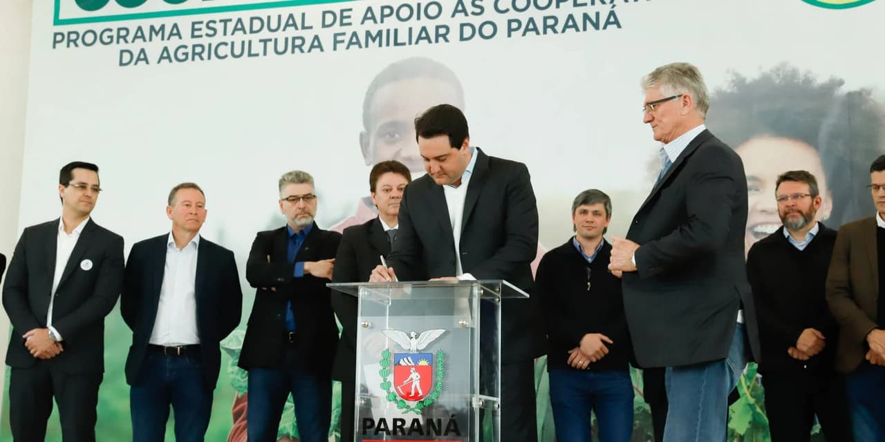 Merenda nas escolas estaduais será 100% orgânica até 2030