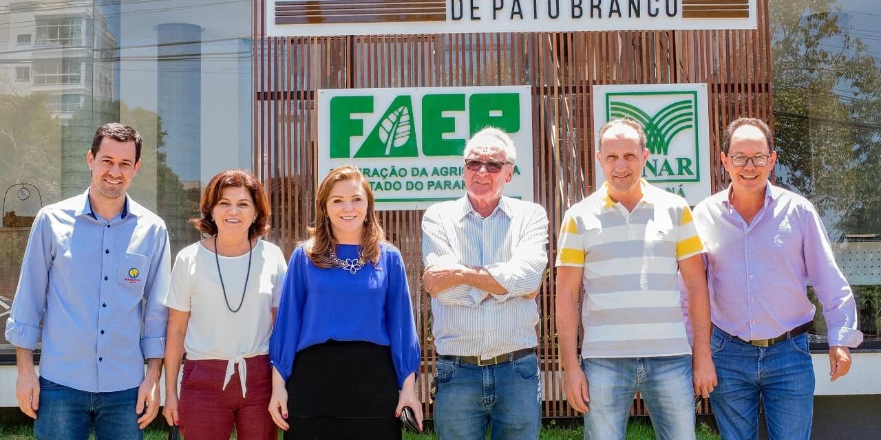 Paraná não tem mais data-limite para plantio de soja safrinha