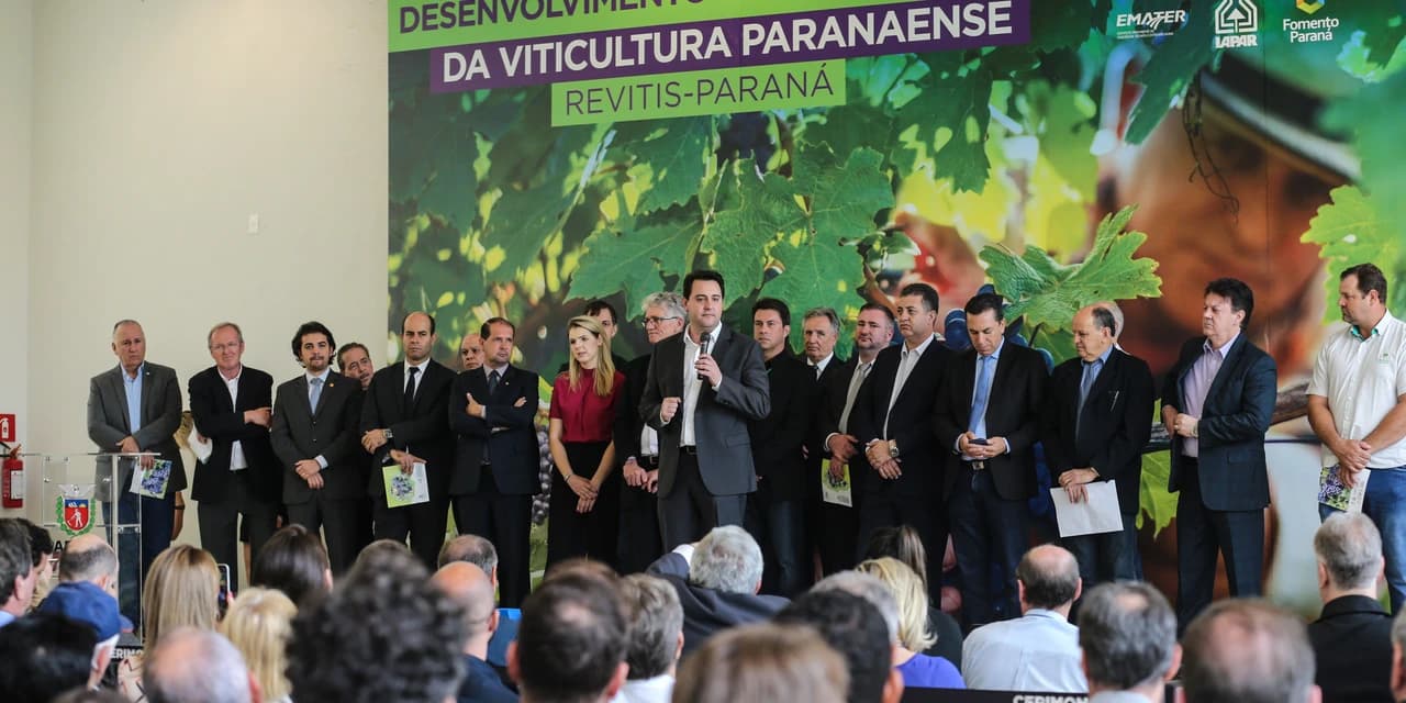 Programa inédito vai revitalizar a produção de uvas no Paraná
