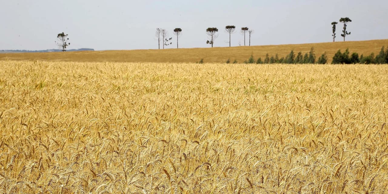 PIB do Paraná cresce e consolida tendência de recuperação