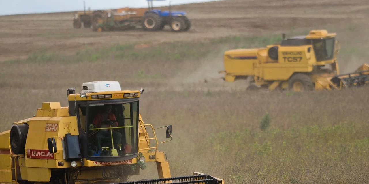 Agronegócio é responsável por 33,9% do PIB paranaense