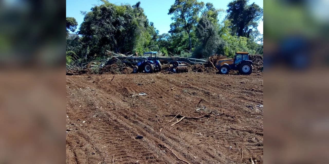 Polícia Ambiental aplica multa de R$357,000,00 por desmatamento