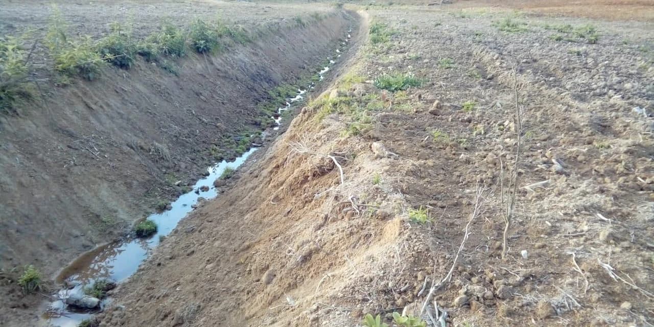 Em Rio Azul Policia Ambiental embarga área e multa proprietário em 10 mil reais.