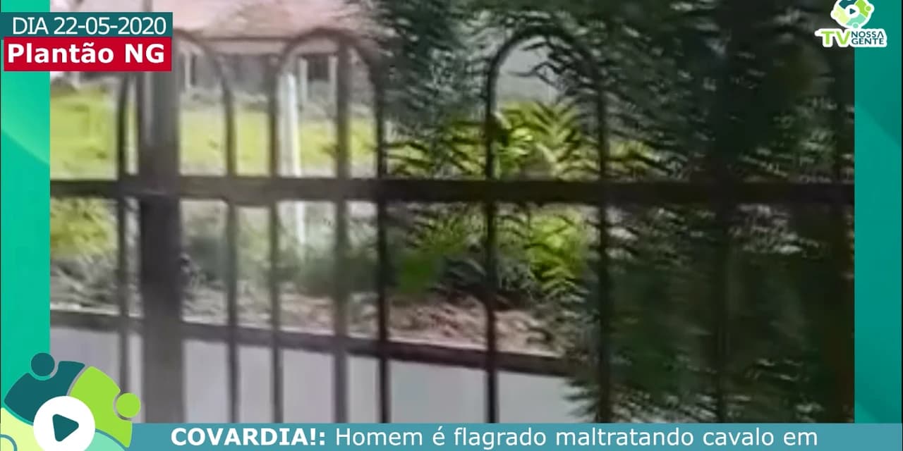 Imagens fortes, chocantes: Homem é flagrado maltratando um cavalo em Prudentópolis.