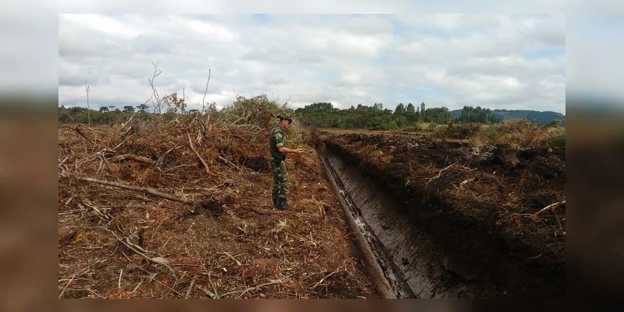 Em Rio Azul Policia Ambiental aplica multa de 110 mil.