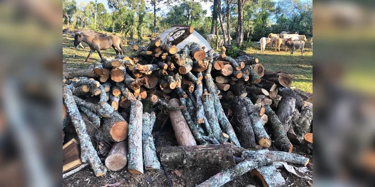 No Turvo Polícia Ambiental aplica multa no valor de 45 mil