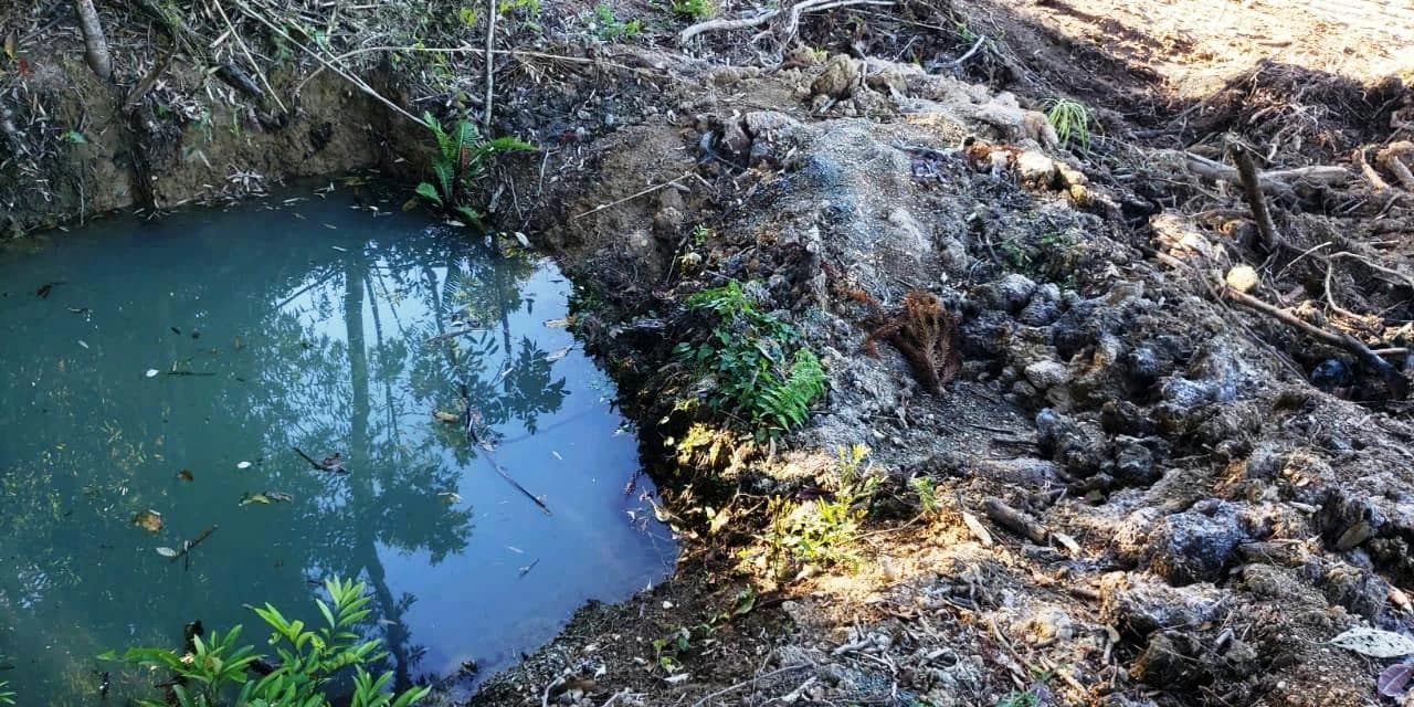 Em Irati Polícia Ambiental aplica multa de  R$ 90 mil aos infratores.
