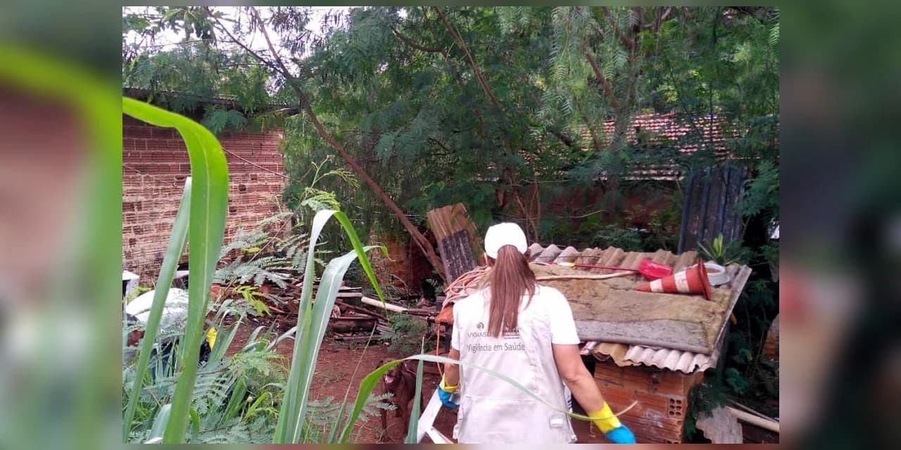 Estado repassa R$ 1,5 milhão a municípios no combate à dengue