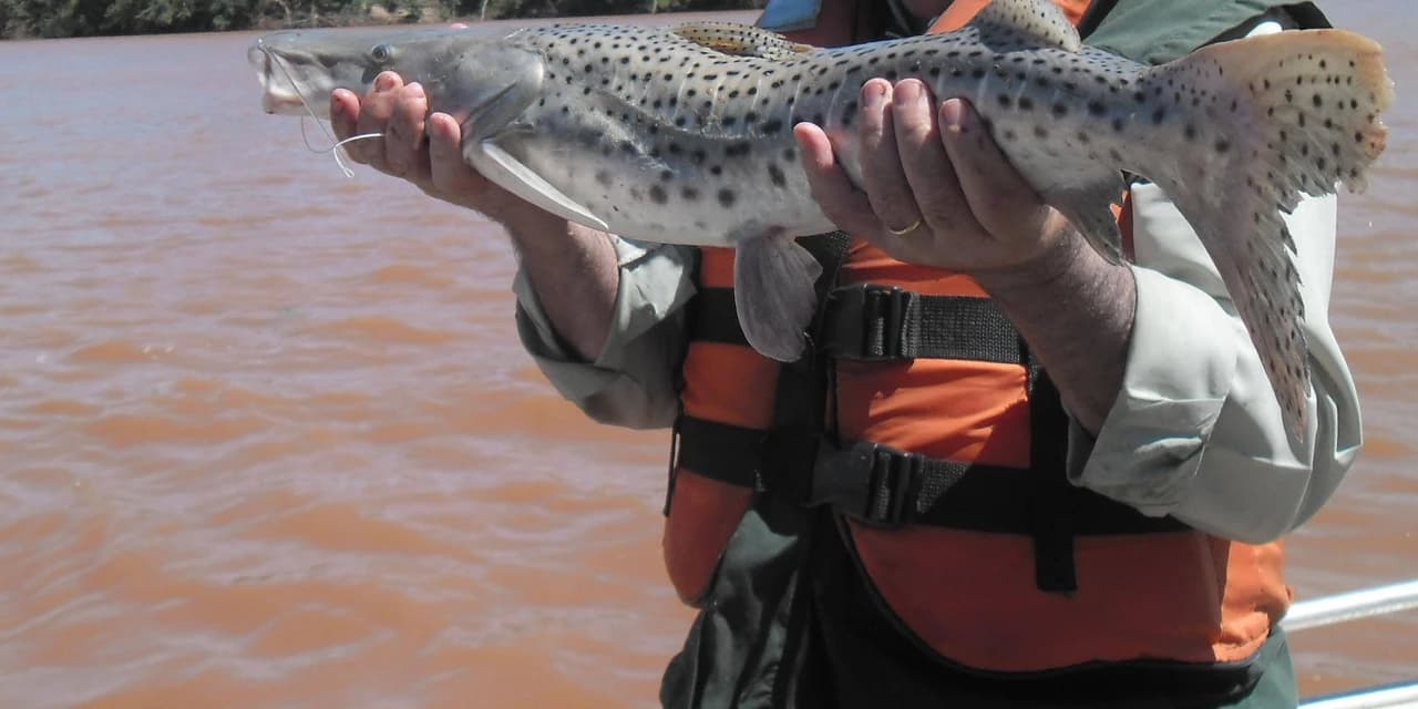 Pesca está liberada nas represas e lagos do Estado