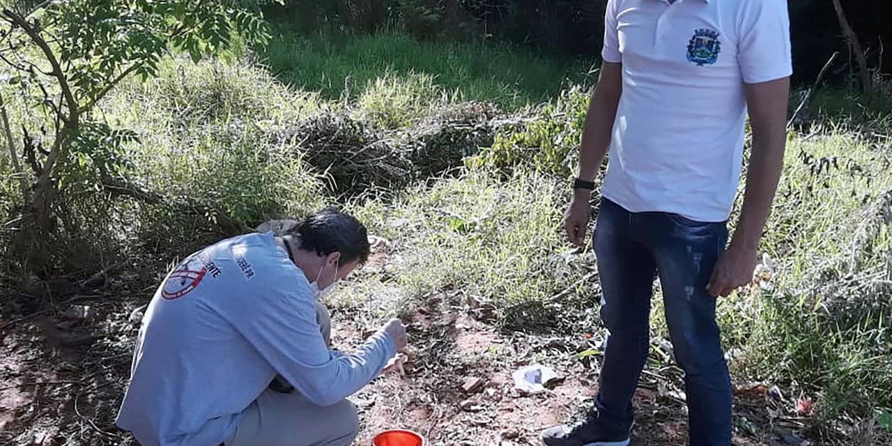 Em menos de um ano Paraná soma 212.074 casos de dengue