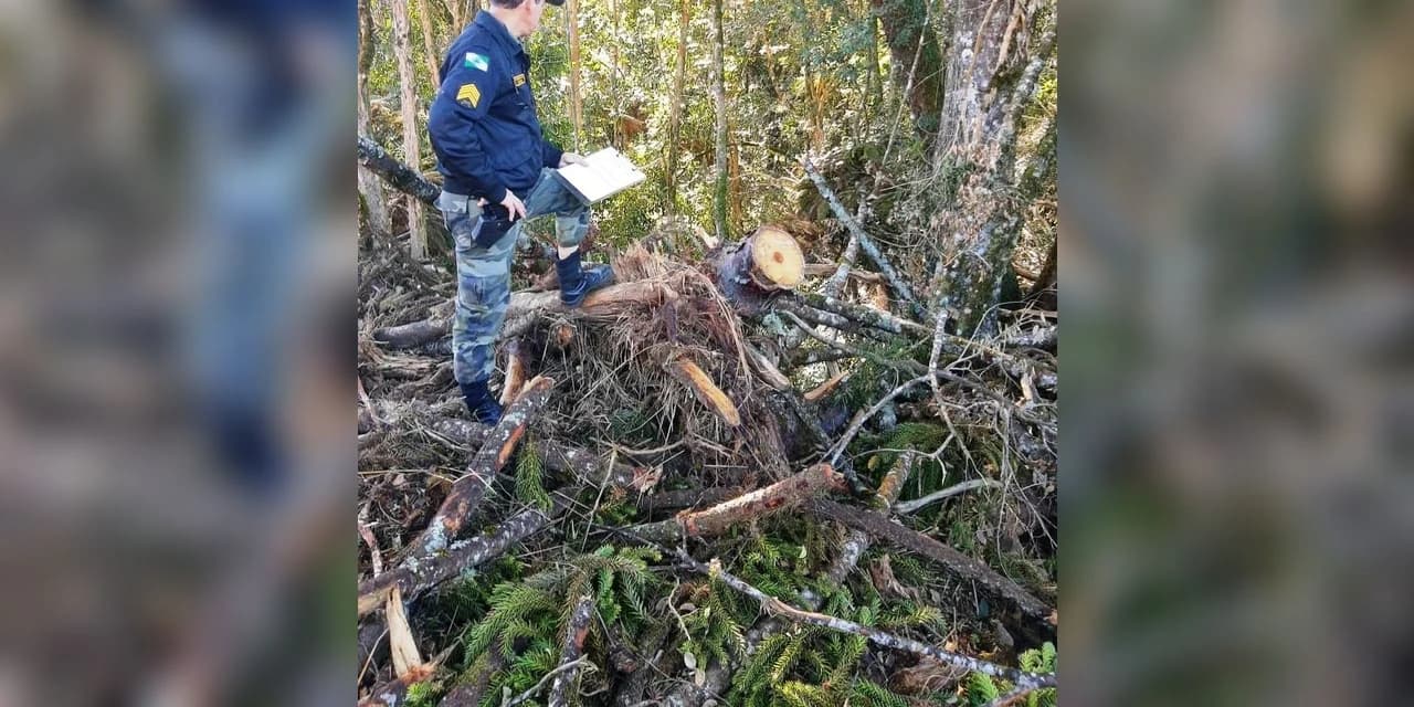 Em Prudentópolis Polícia Ambiental aplica multa ambiental no valor de R$ 18 mil reais.