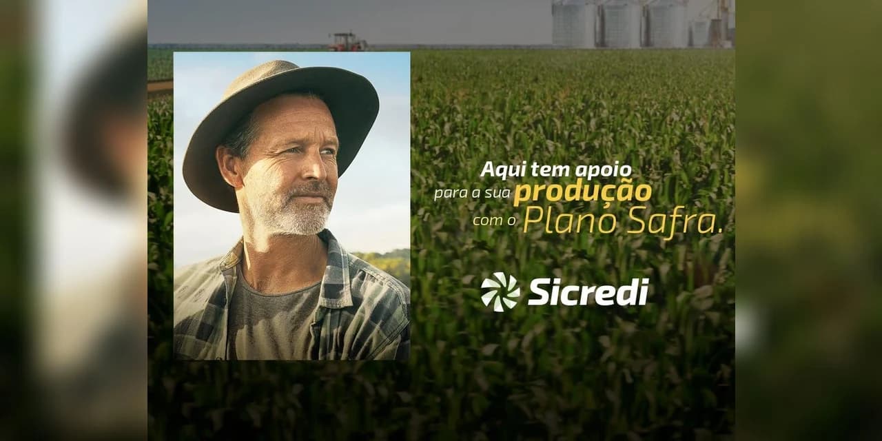 Sicredi prevê liberação R$ 22,9 bilhões para Plano Safra 2020/2021