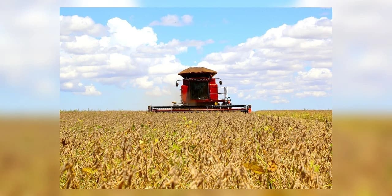 BRDE terá R$ 460 milhões para financiar safra agrícola paranaense