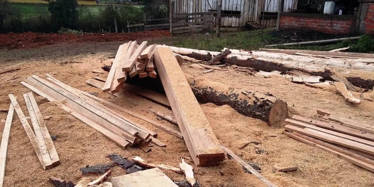 Em Rio Azul policiais ambientais localizam destruição de vegetação nativa.