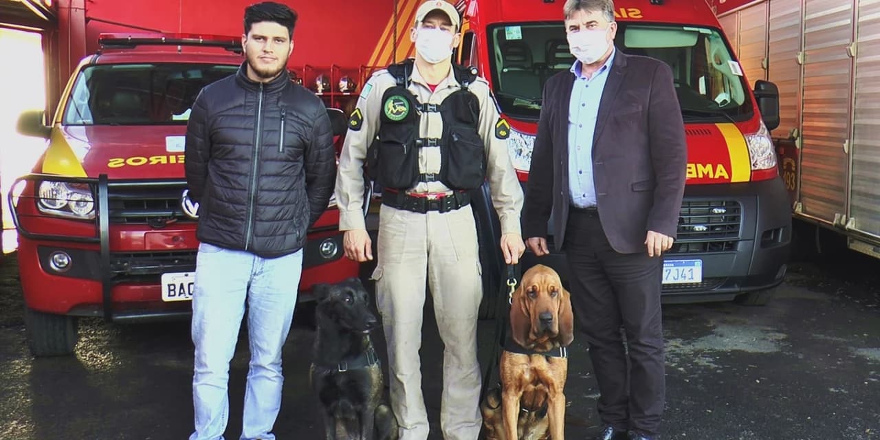 TV NOSSA GENTE: Cães auxiliam o Corpo de Bombeiros na busca e salvamentos de pessoas.