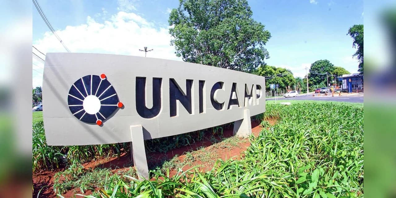 Estudo da Unicamp apresenta nova forma para tratar esquizofrenia.