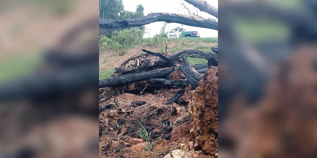 Em Ivaí policia ambiental aplica multa no valor de R$ 21.000,00.