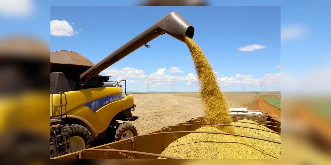 Produção agropecuária no Paraná bate recorde ao atingir R$ 97,7 bilhões em 2019, diz governo
