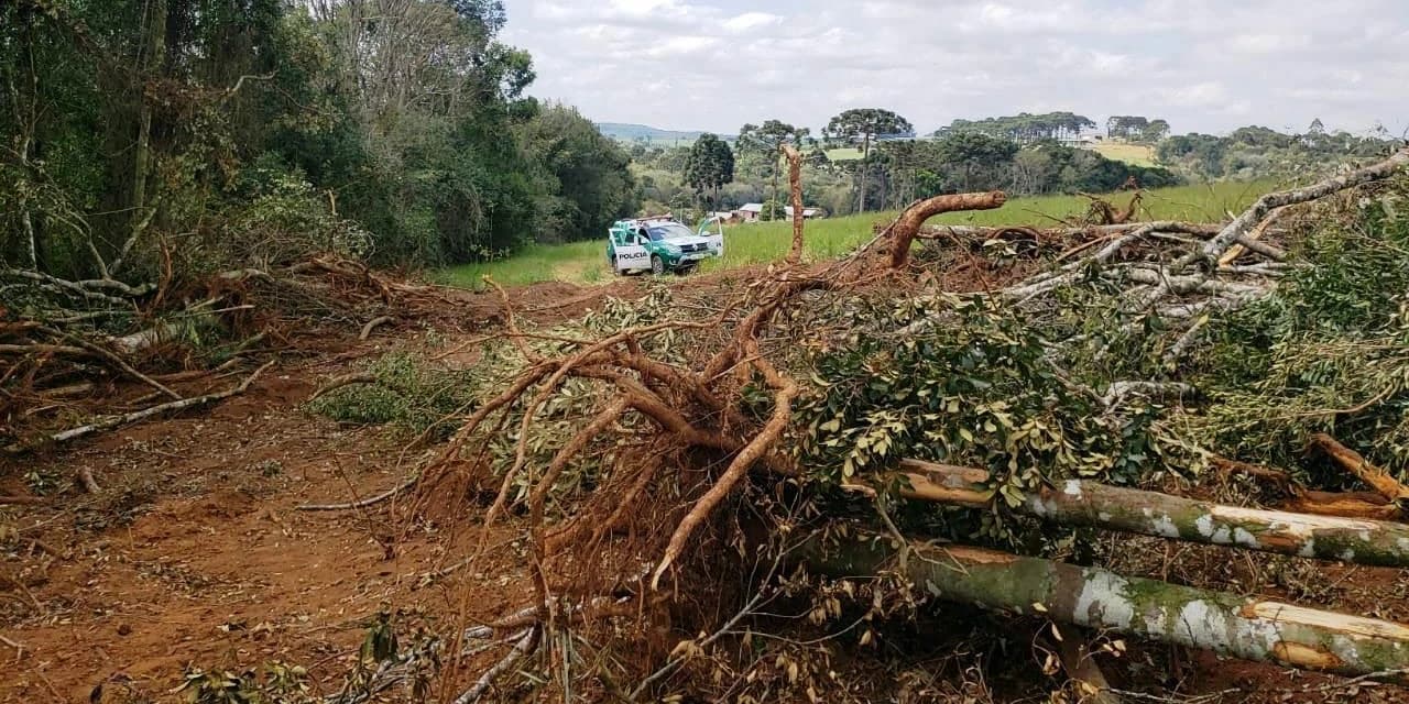 Em Imbituva polícia ambiental aplica multa no valor de R$ 21 mil.