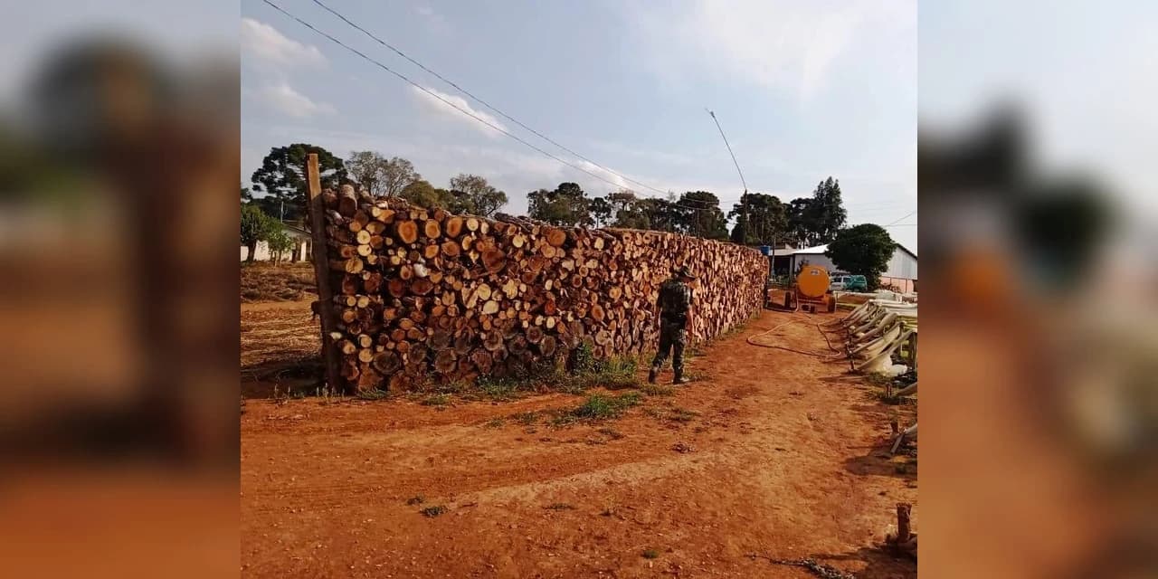 Em Imbituva policia ambiental encontra depósito de lenha sem autorização.