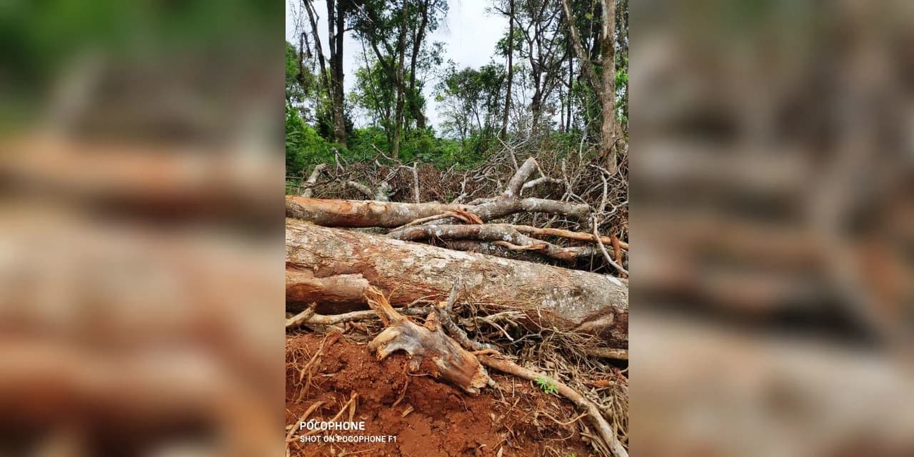 Em Imbituva Polícia Ambiental aplica multa no valor de R$ 147 mil reais.