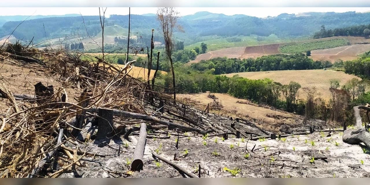 Em Ivaí Polícia Ambiental aplica multa de R$ 73 mil.
