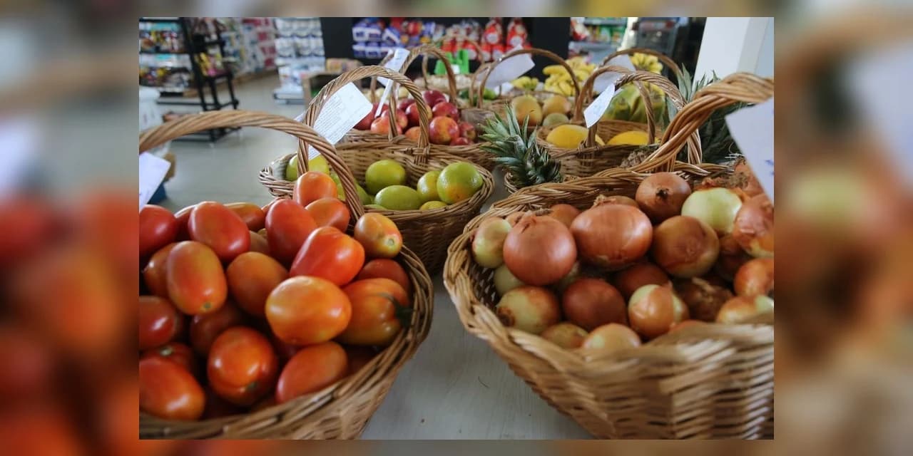 Paraná promove ações contra o desperdício de alimentos