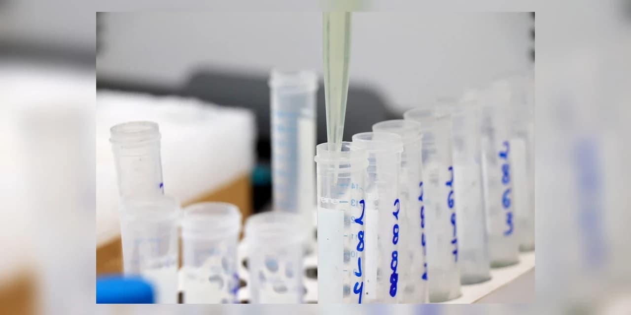 Tecpar lança edital para kits de diagnóstico da Covid e de outras doenças