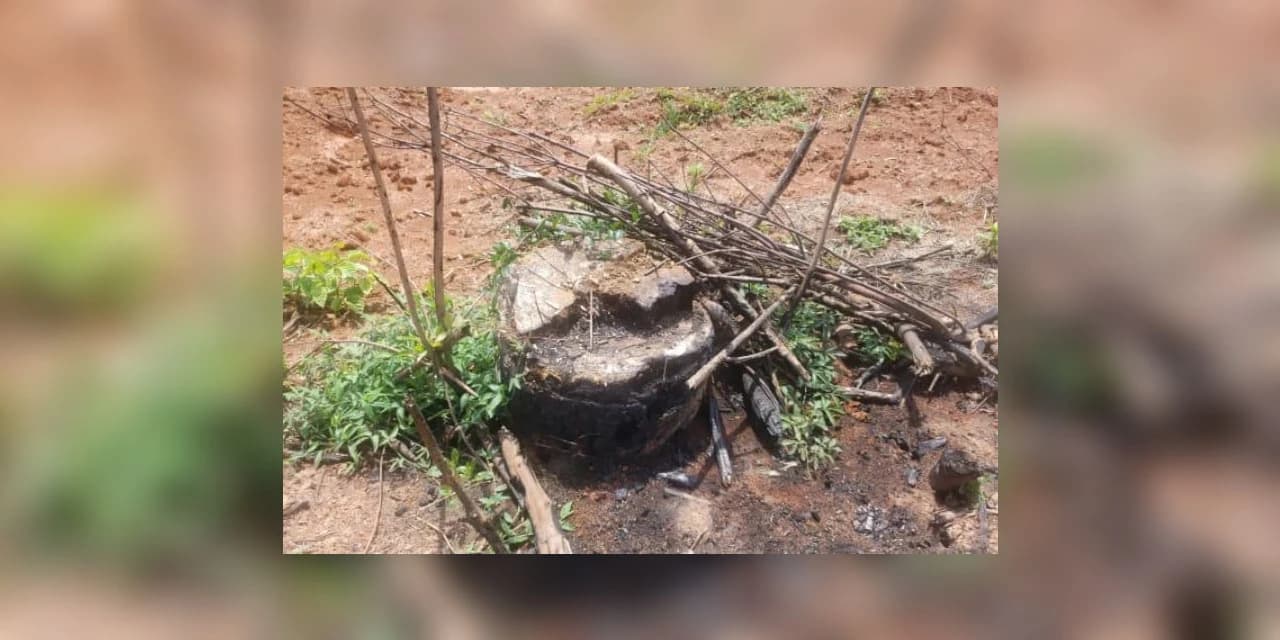 Em Imbituva Polícia Ambiental aplica multa no valor de R$ 52.500,00