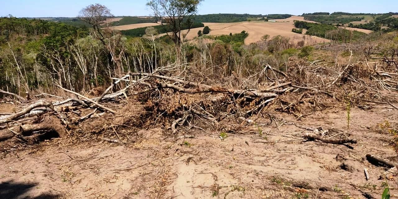 Polícia Ambiental aplica multa de R$ 126.000,00