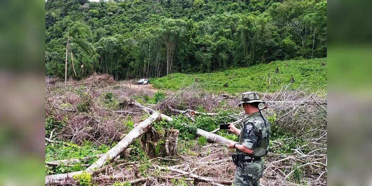 Em Ivaí Policia Ambiental aplica multa no valor de R$ 126 mil reais